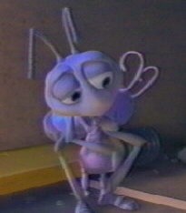 Bir Böceğin Yaşamı Fotoğrafı