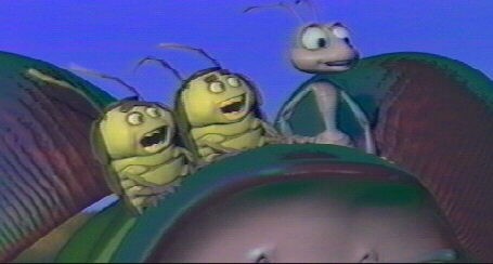 Bir Böceğin Yaşamı Fotoğrafı