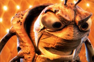 Bir Böceğin Yaşamı Fotoğrafı