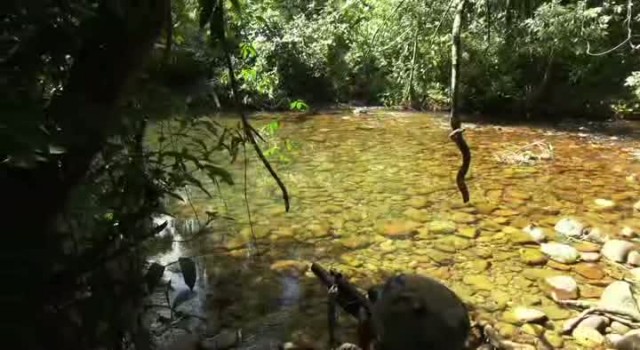 Alien Origin fotoğrafı