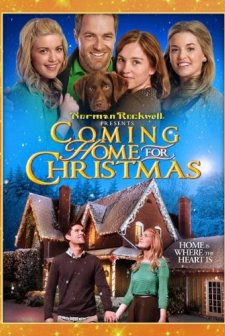 Coming Home for Christmas (2013) afişi