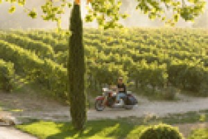 İyi Bir Yıl Fotoğrafı