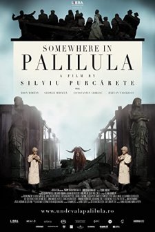 Somewhere in Palilula (2012) afişi