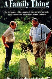 Bir Aile Sorunu (1996) afişi