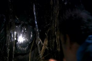 Something Beneath Fotoğrafı