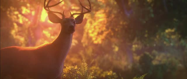 Doğal Kahramanlar Fotoğrafı