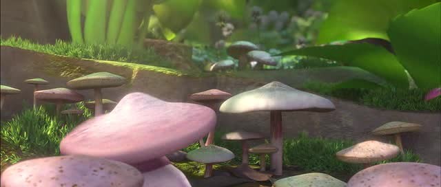 Doğal Kahramanlar Fotoğrafı