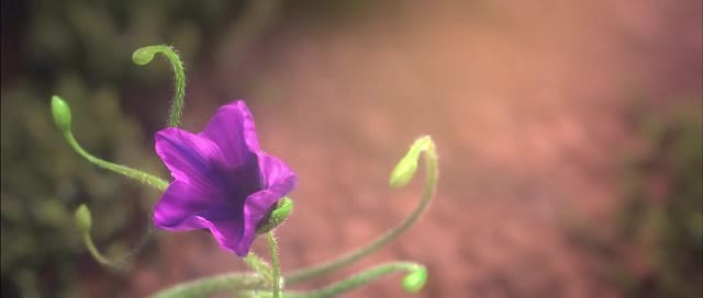 Doğal Kahramanlar Fotoğrafı