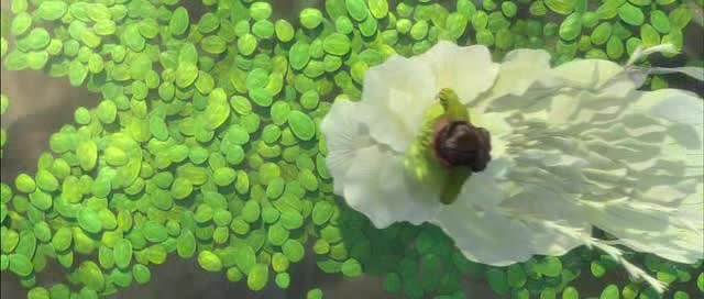 Doğal Kahramanlar Fotoğrafı