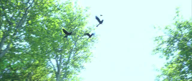 Doğal Kahramanlar Fotoğrafı