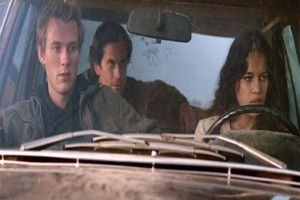 Vahşi Irk Fotoğrafı