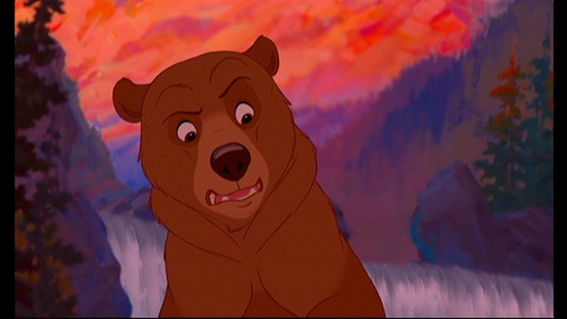 Ayı Kardeş Fotoğrafı