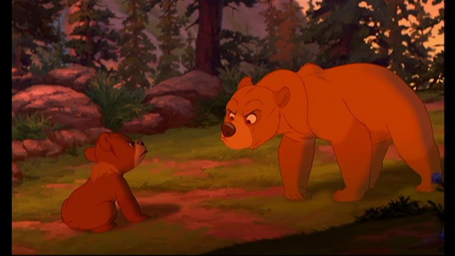 Ayı Kardeş Fotoğrafı