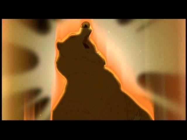 Ayı Kardeş Fotoğrafı