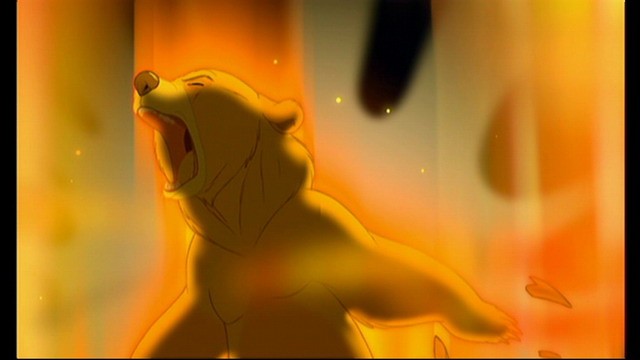 Ayı Kardeş Fotoğrafı