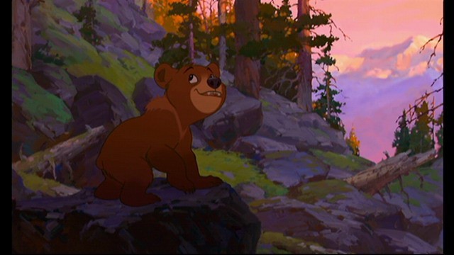 Ayı Kardeş Fotoğrafı