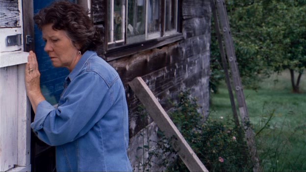 Siyah At Fotoğrafı