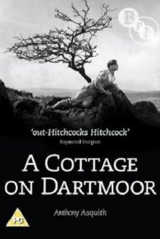 A Cottage on Dartmoor (1929) afişi
