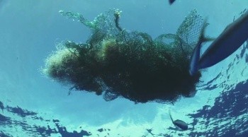 Kingdom of the Oceans Fotoğrafı