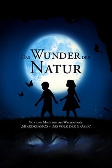 Büyülü Krallık (2011) afişi