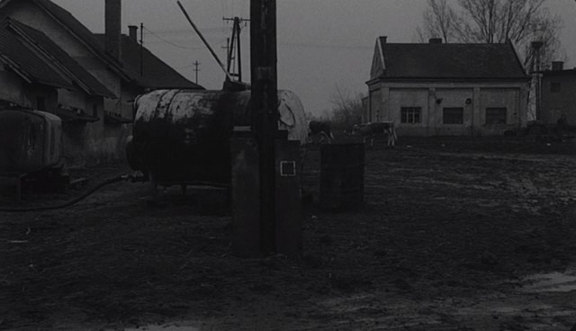 Şeytanın Tangosu Fotoğrafı