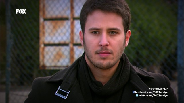 Deniz Yıldızı Fotoğrafı