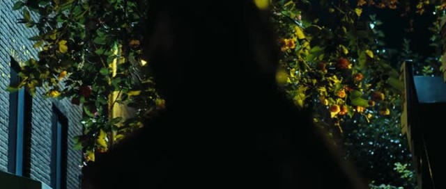 Kim'in Adası Fotoğrafı