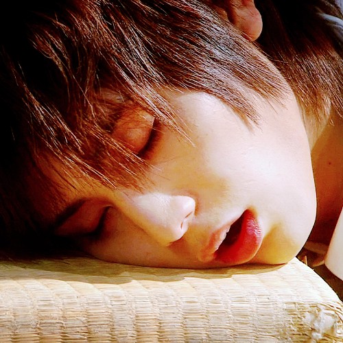 Risou no Musuko Fotoğrafı