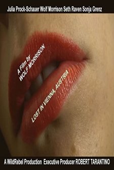 Lost in Vienna, Austria (2013) afişi