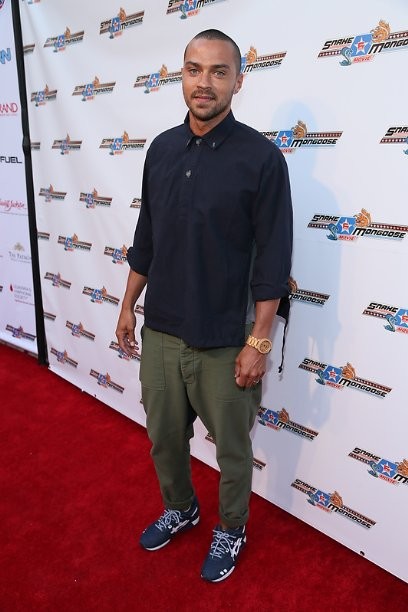 Snake & Mongoose Fotoğrafı