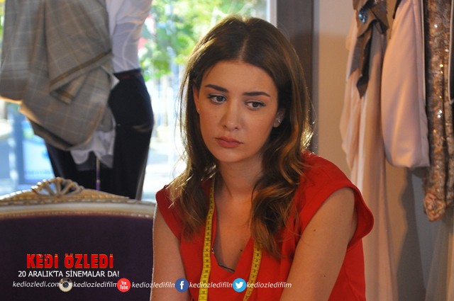 Kedi Özledi Fotoğrafı