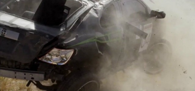 Yarışçı Doğanlar: İlk Yarış Fotoğrafı