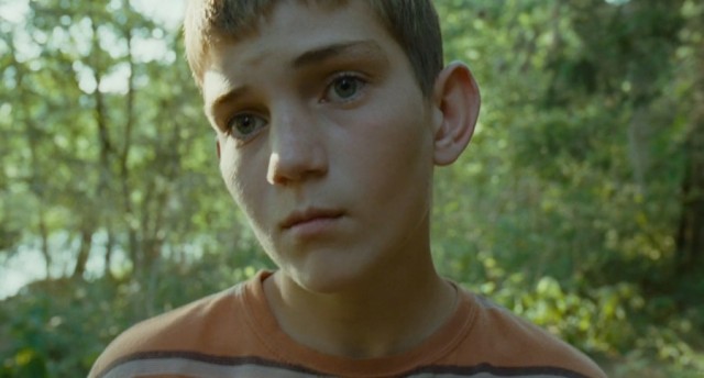 Hayat Ağacı Fotoğrafı