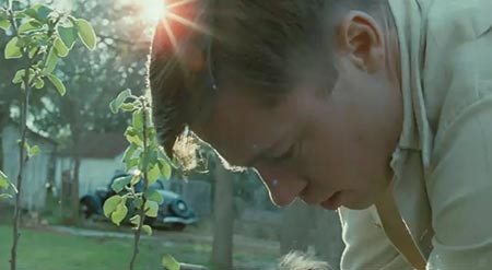 Hayat Ağacı Fotoğrafı