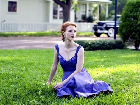 Hayat Ağacı Fotoğrafı