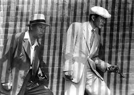 Nora inu Fotoğrafı