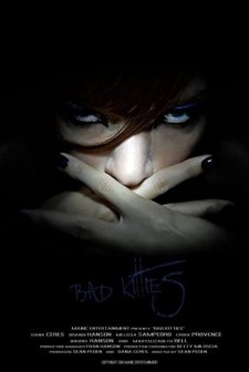 Bad Kitties (2013) afişi