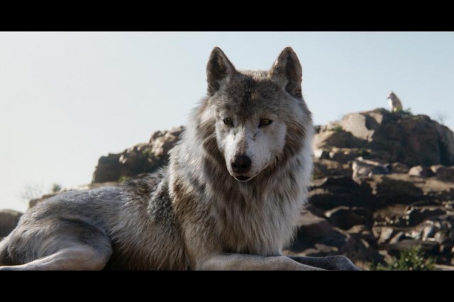 Orman Çocuğu Fotoğrafı