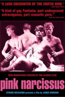 Pink Narcissus (1971) afişi