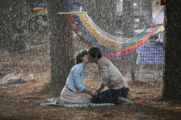 Dear Dolphin Fotoğrafı