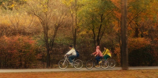 Dear Dolphin Fotoğrafı