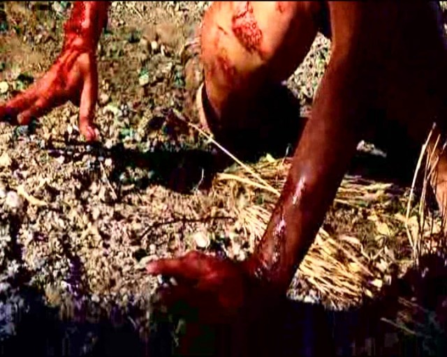 The Cellar Door Fotoğrafı