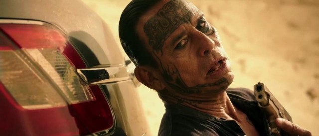 Kan Bağı Fotoğrafı