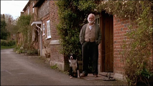 İyi Geceler Bay Tom Fotoğrafı