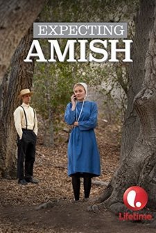 Expecting Amish (2014) afişi