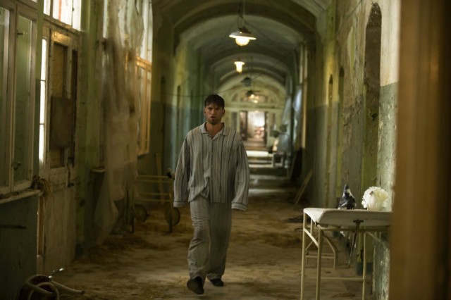 İnsanlar ve Tavuklar Fotoğrafı