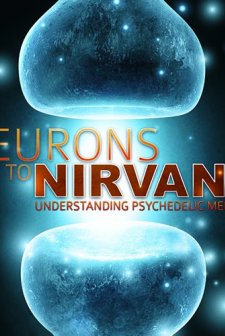 Neurons to Nirvana: Understanding Psychedelic Medicines (2013) afişi