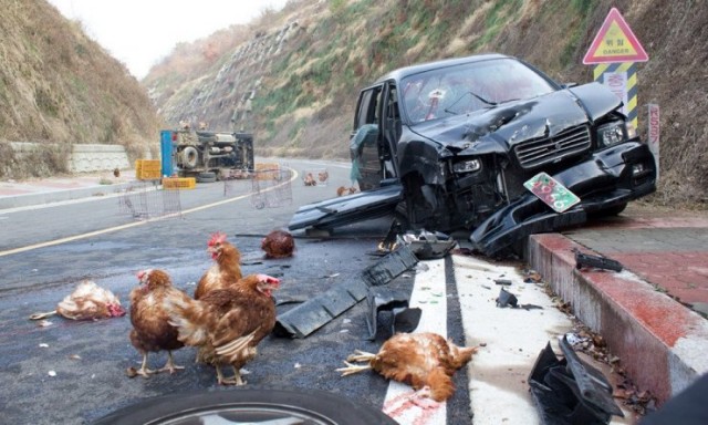 Navigation fotoğrafı