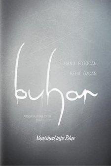 Buhar (2012) afişi