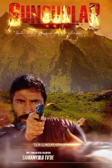 Sungurlar (2014) afişi